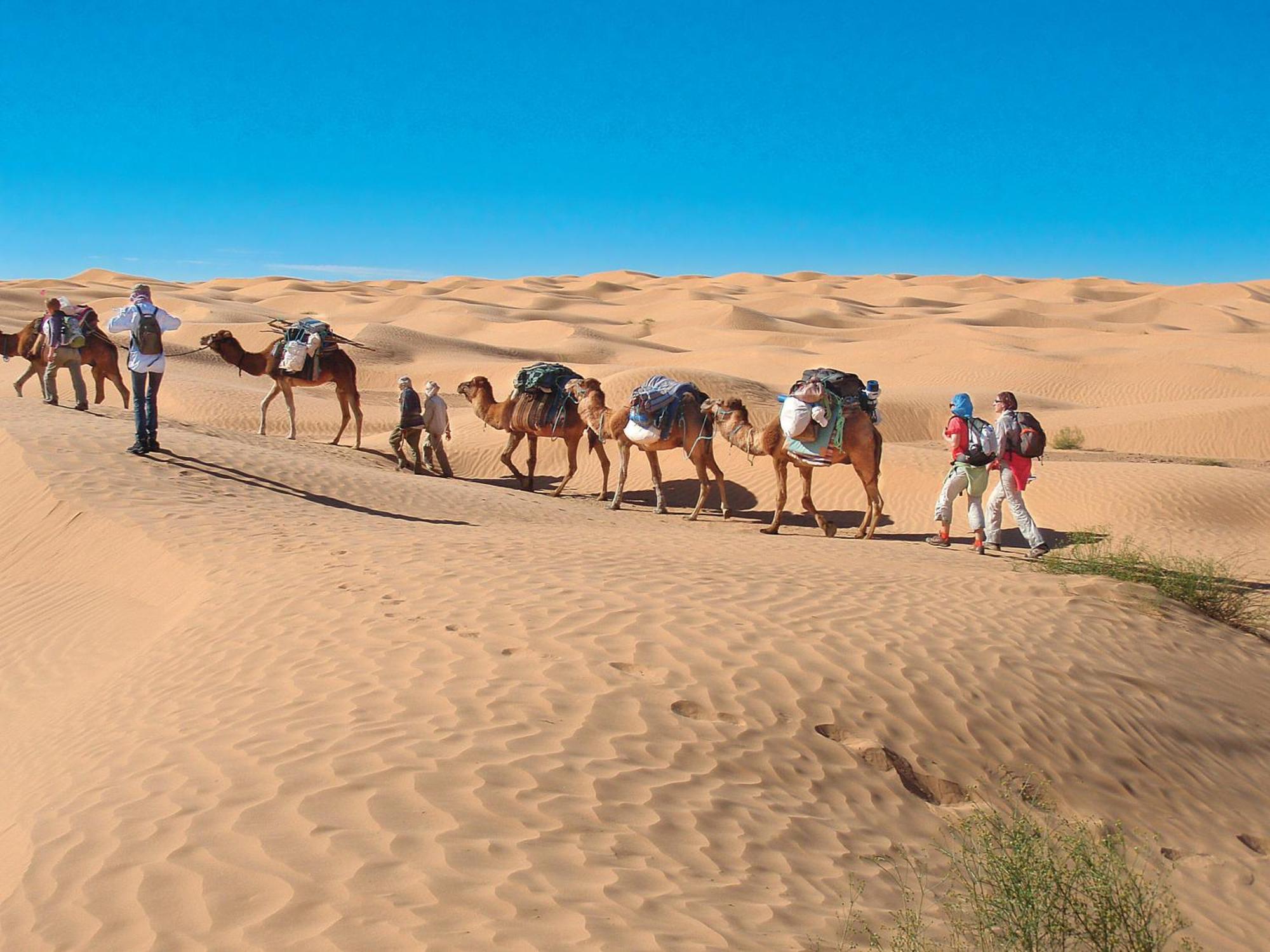 Camp Sahara Holidays Мхамид Экстерьер фото