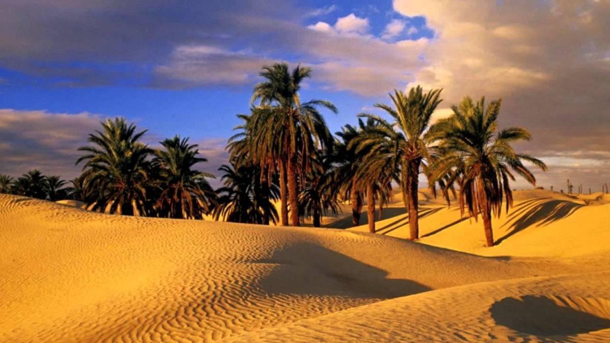 Camp Sahara Holidays Мхамид Экстерьер фото